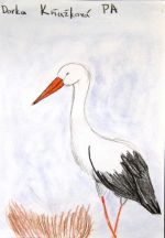 Kňažková Dorka.jpg